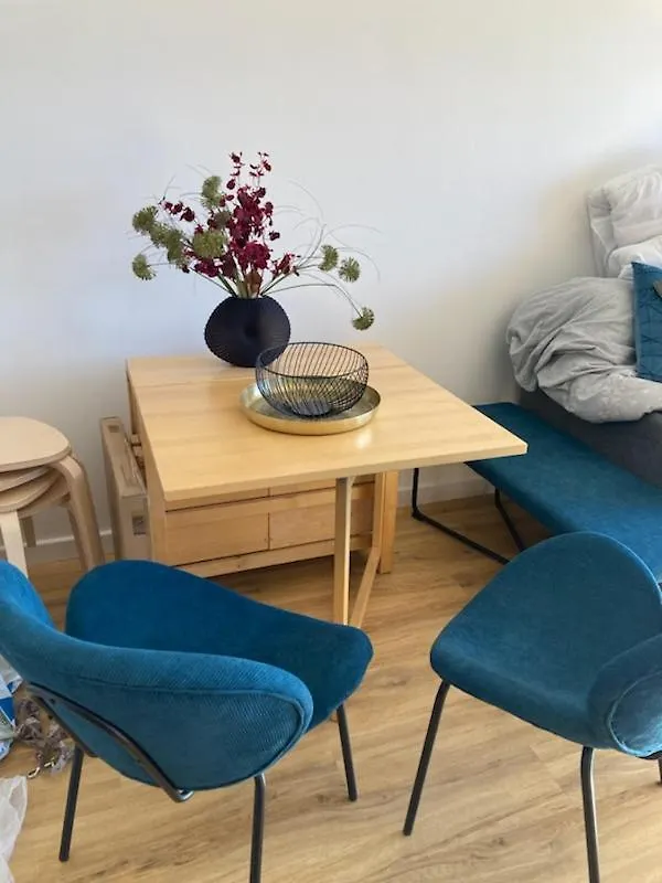 Belle Vue Pied Des Pistes 6 Couchages 2 Pieces Apartment Villard-de-Lans France